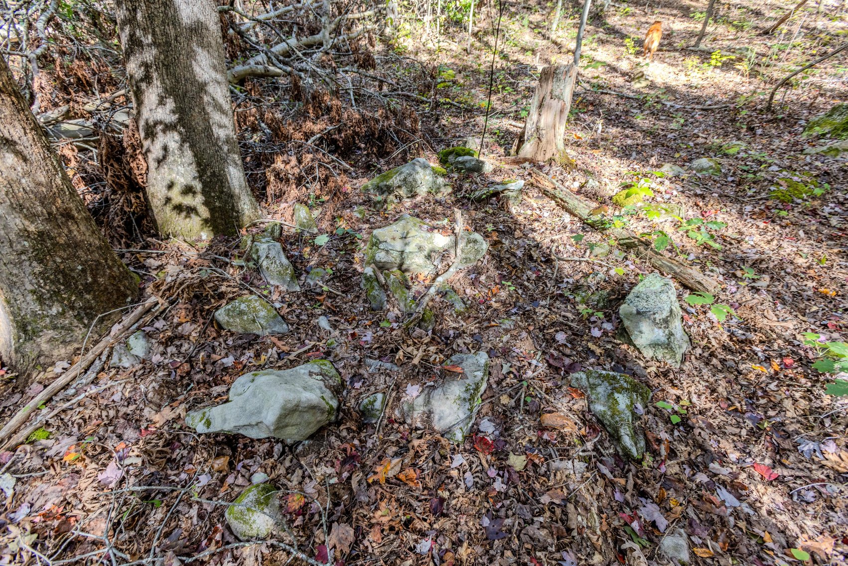 Image for SOLD $93,500 - 13 Acres Adjacent to the New River Gorge