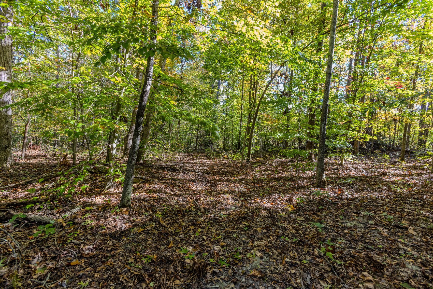 Image for SOLD $93,500 - 13 Acres Adjacent to the New River Gorge
