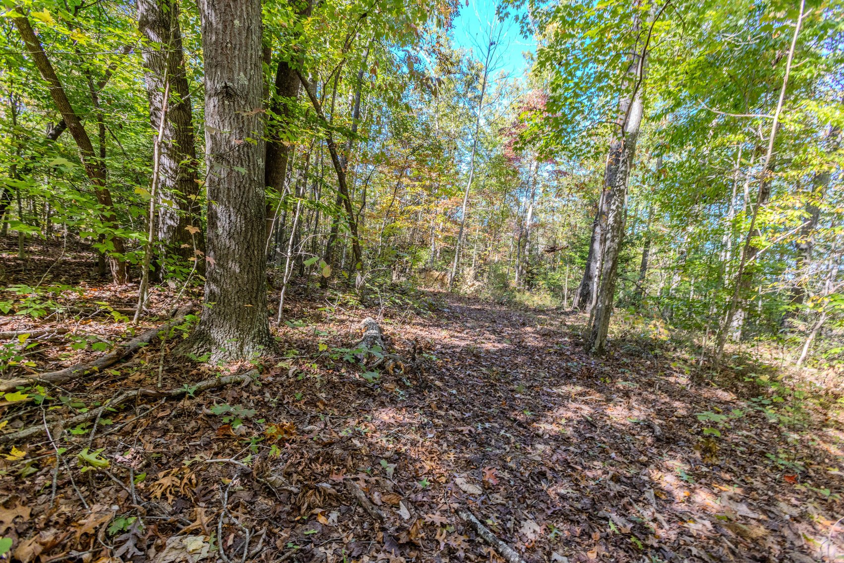 Image for SOLD $93,500 - 13 Acres Adjacent to the New River Gorge