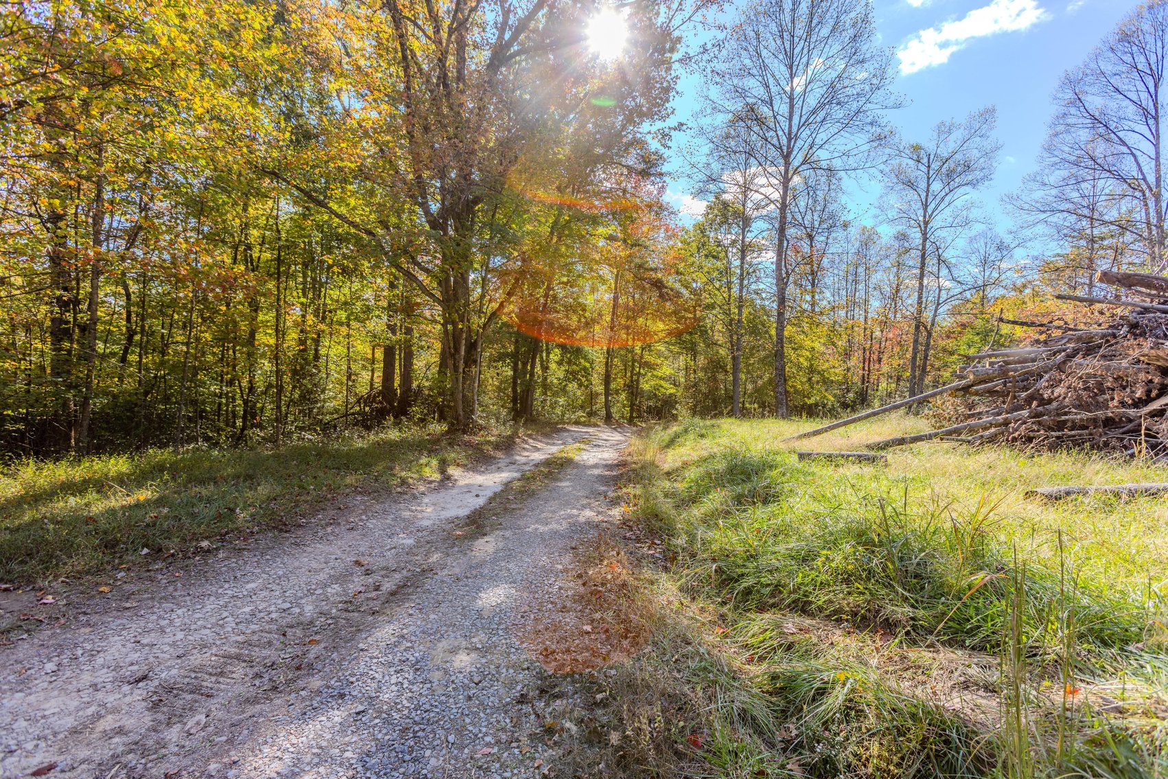 Image for SOLD $93,500 - 13 Acres Adjacent to the New River Gorge