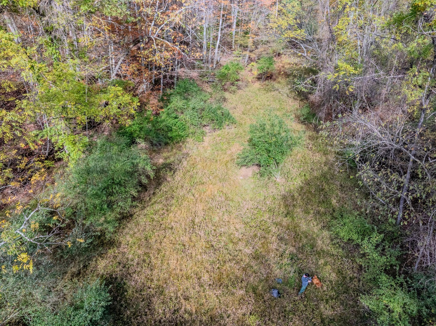 Image for SOLD $93,500 - 13 Acres Adjacent to the New River Gorge