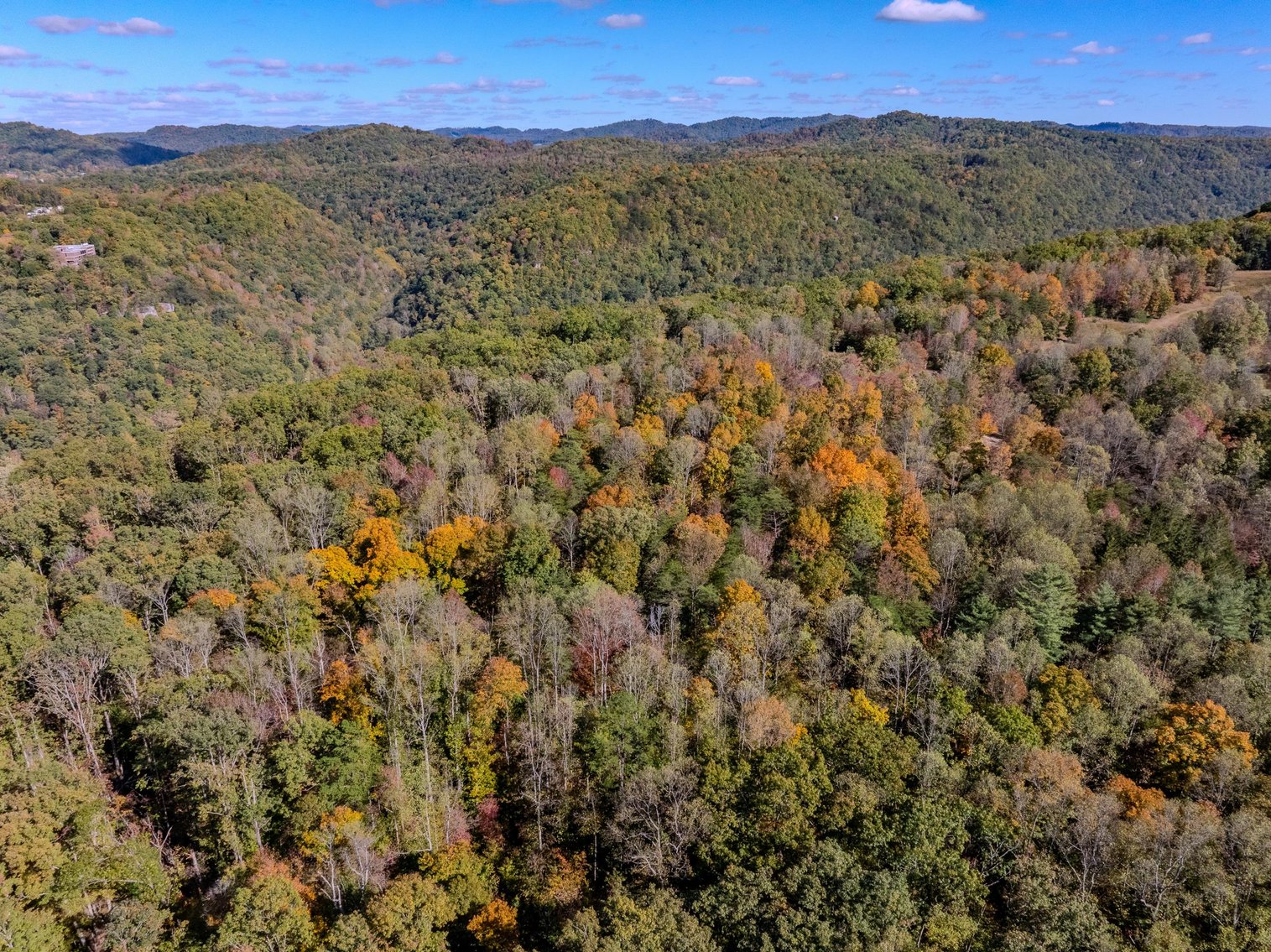 Image for SOLD $93,500 - 13 Acres Adjacent to the New River Gorge