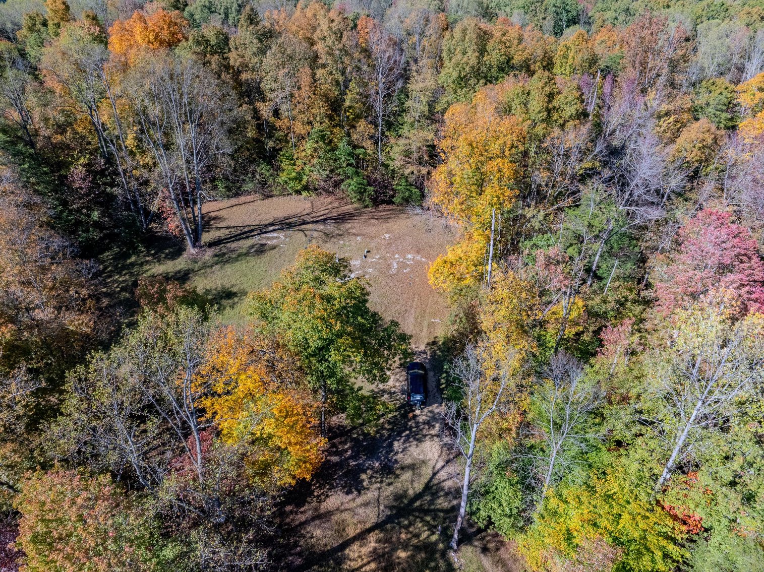 Image for SOLD $93,500 - 13 Acres Adjacent to the New River Gorge