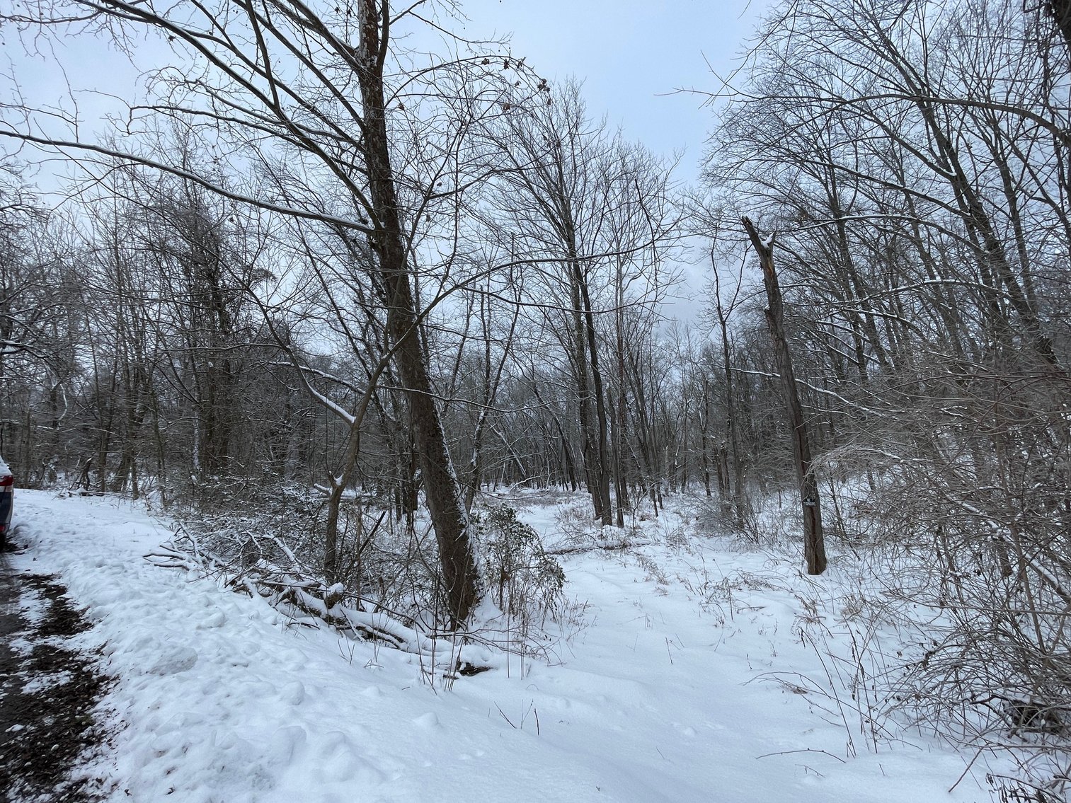 Image for SOLD $11,000 - 5 Acres near Poca High School