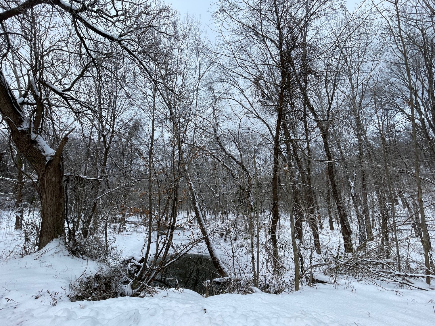 Image for SOLD $11,000 - 5 Acres near Poca High School
