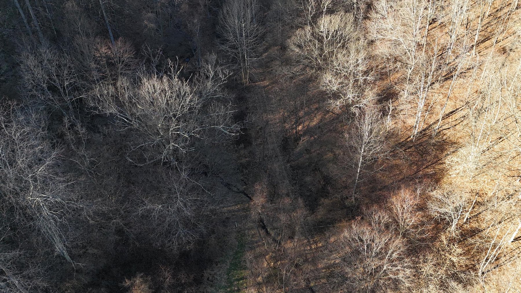 Image for SOLD $200,750 - 105 Acre Farm in the Kincheloe Area
