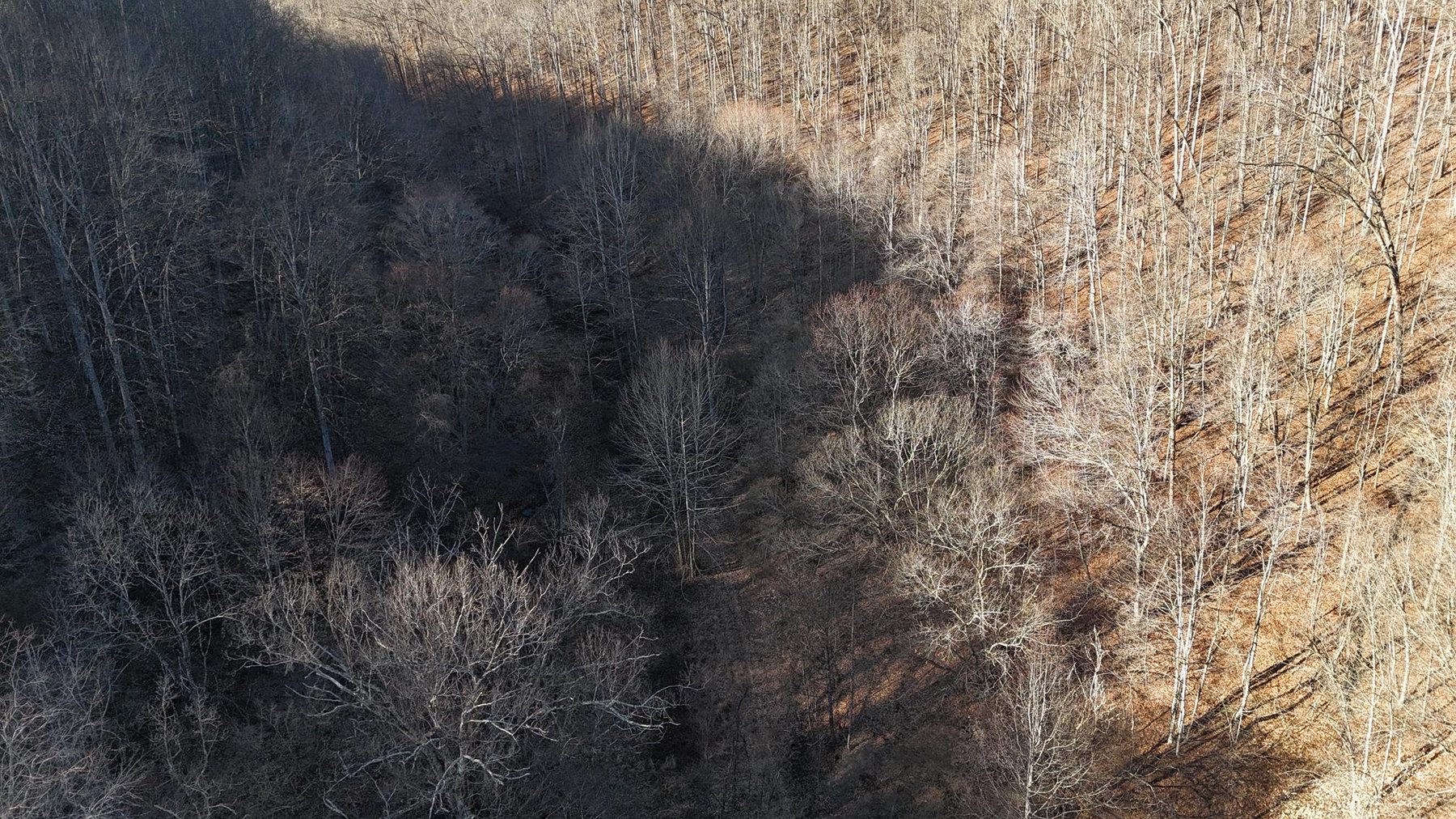 Image for SOLD $200,750 - 105 Acre Farm in the Kincheloe Area