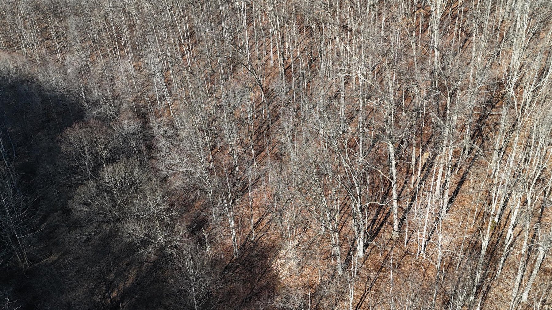 Image for SOLD $200,750 - 105 Acre Farm in the Kincheloe Area