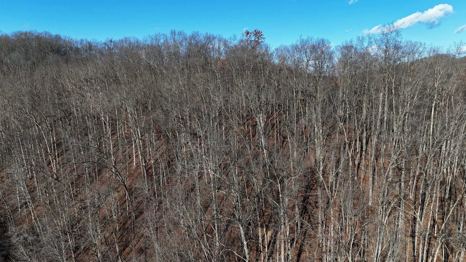 Image for SOLD $200,750 - 105 Acre Farm in the Kincheloe Area