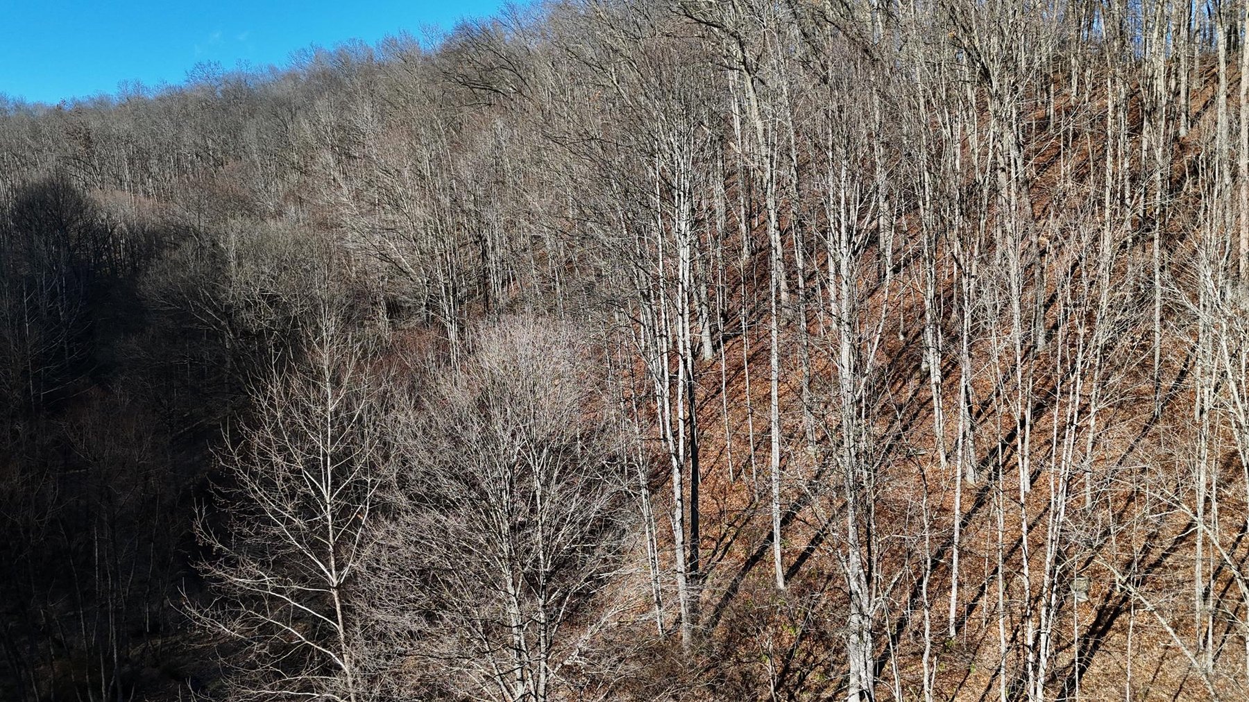 Image for SOLD $200,750 - 105 Acre Farm in the Kincheloe Area