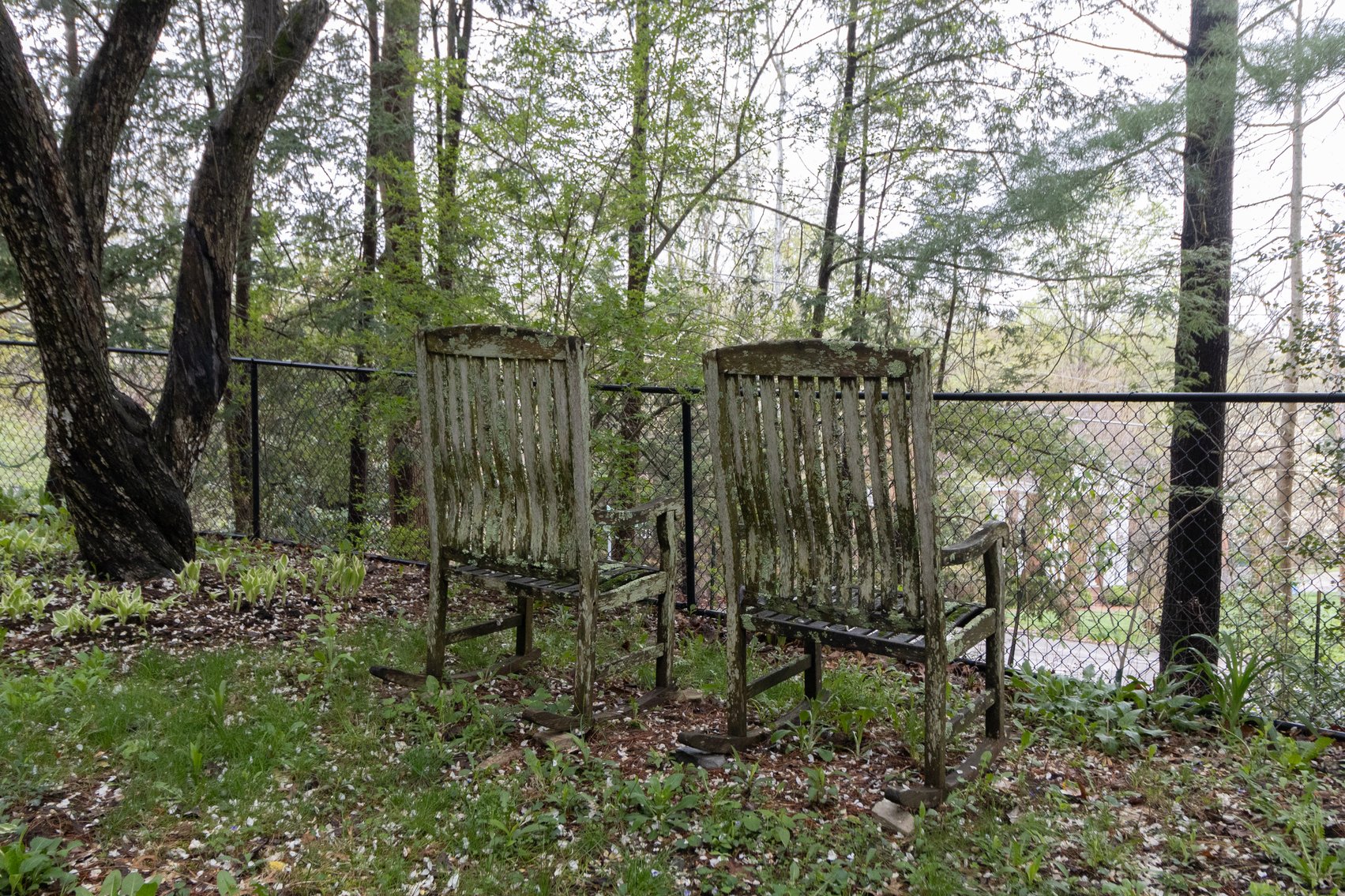 Image for SOLD $715,000 - Huge Stone Home in the South Hills of Charleston