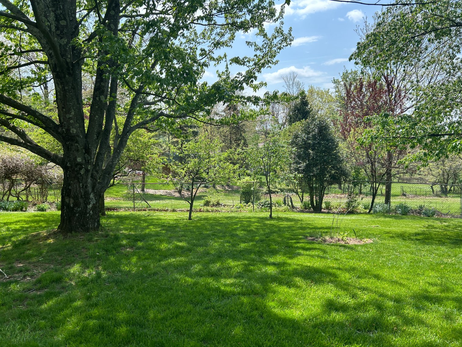 Image for SOLD $156,750 - 3 Bedroom Home on Nearly an Acre in Morgantown