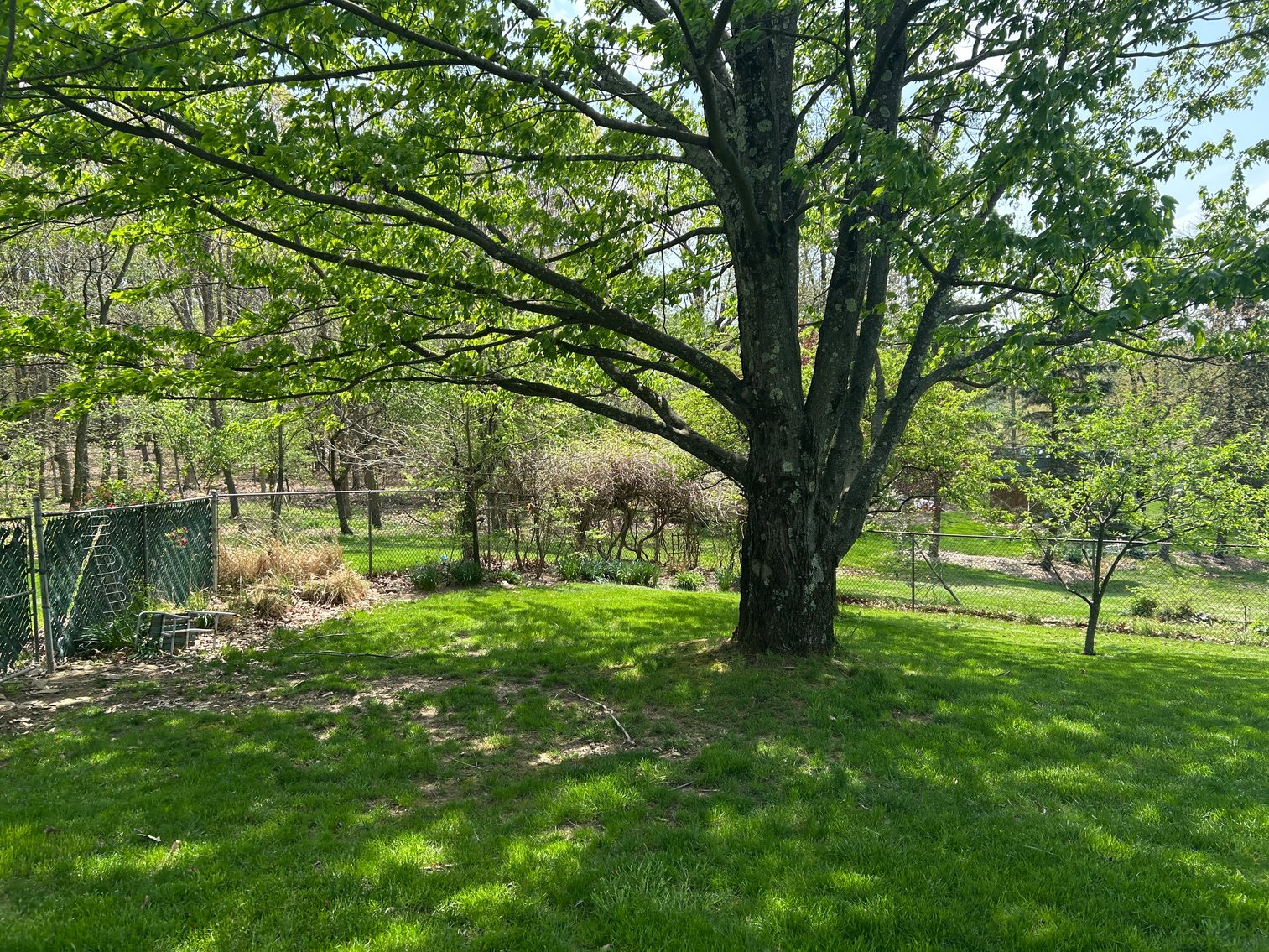 Image for SOLD $156,750 - 3 Bedroom Home on Nearly an Acre in Morgantown