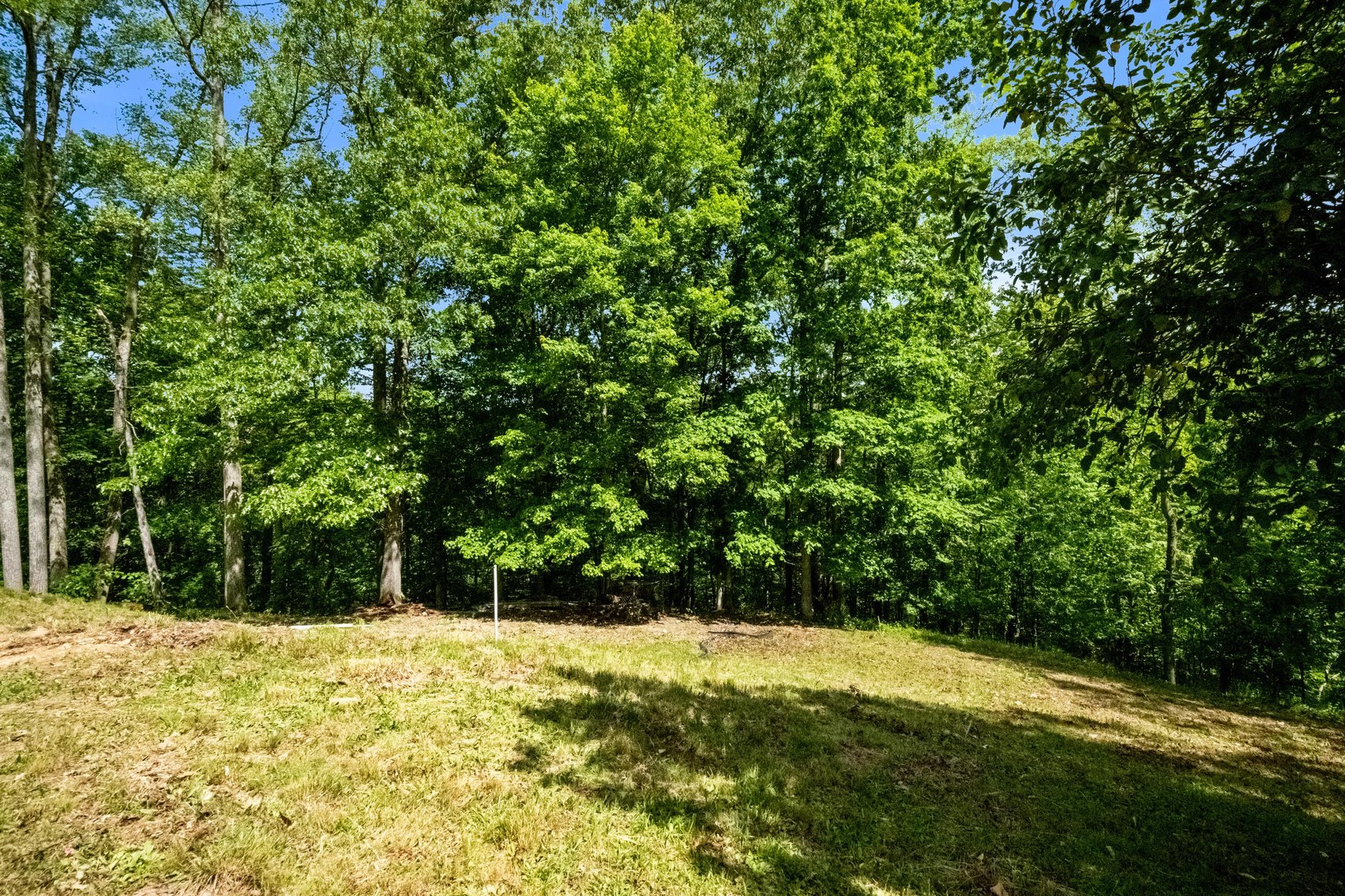 Image for SOLD $69,300 - 4 Bedroom on 1.7 Acres in Clendenin Selling to the Highest Bidder