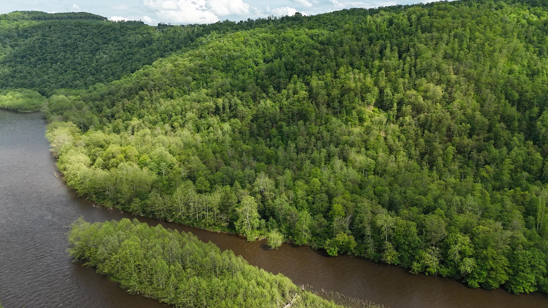 Image for SOLD $286,000 - Over 91 Acres Along the Cheat River in Preston Co. with Timber & Minerals