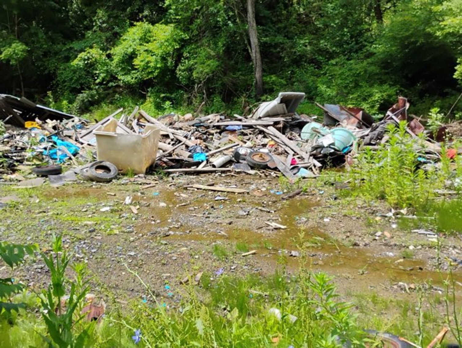 Image for SOLD $8,360 - 0.68 Acres Near the Cacapon River Selling to the Highest Bidder