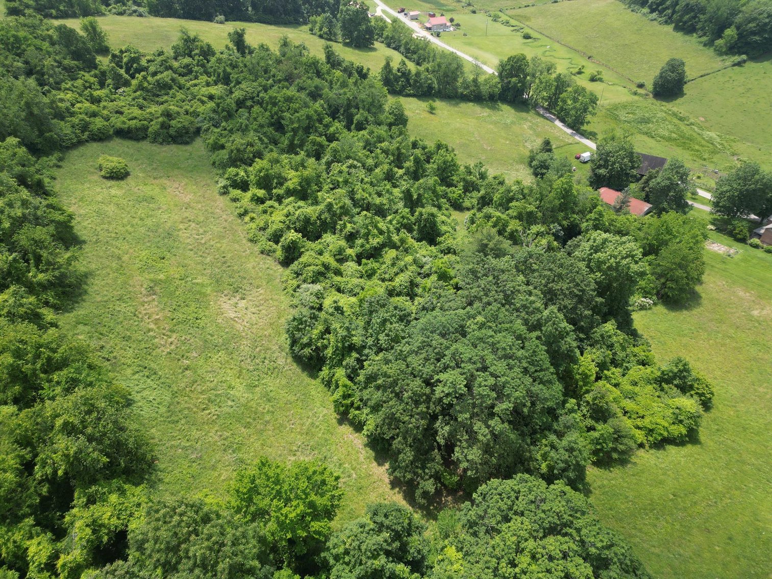 Image for SOLD $451,000 - 3 Bedroom Federal Style Brick Home on Over 14 Acres in Greene County