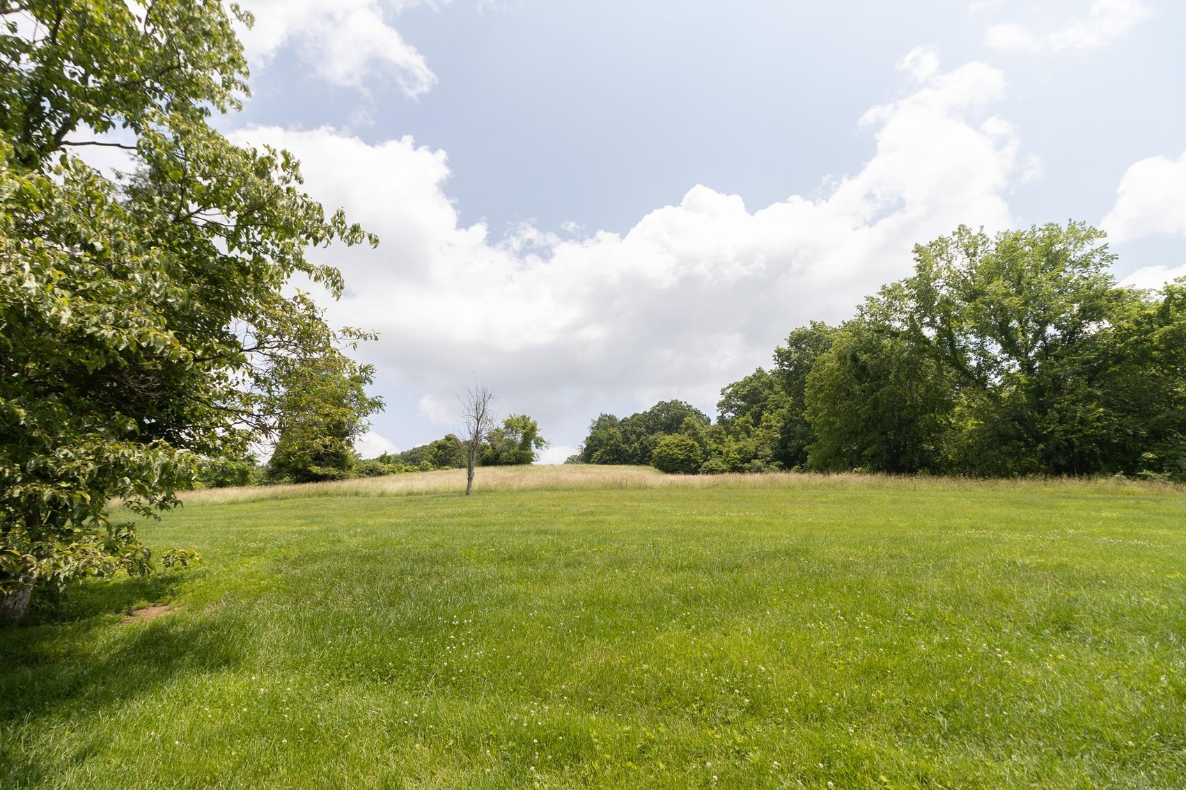 Image for SOLD $451,000 - 3 Bedroom Federal Style Brick Home on Over 14 Acres in Greene County