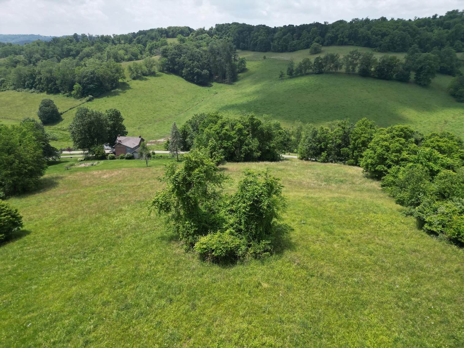 Image for SOLD $451,000 - 3 Bedroom Federal Style Brick Home on Over 14 Acres in Greene County