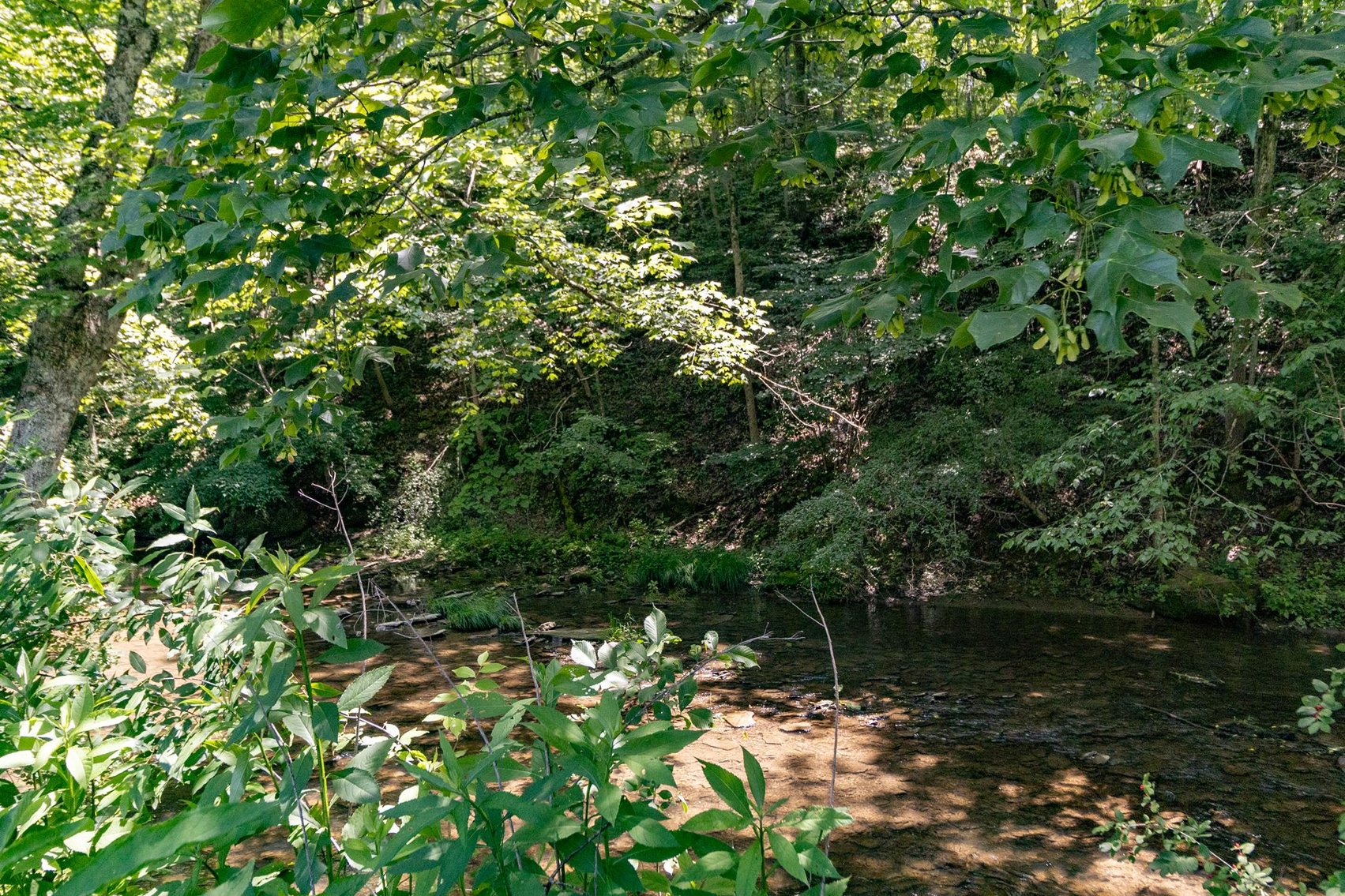 Image for SOLD $605,000 - Exceptional 3 Bedroom on 107 Acres with Cabin in West Finley