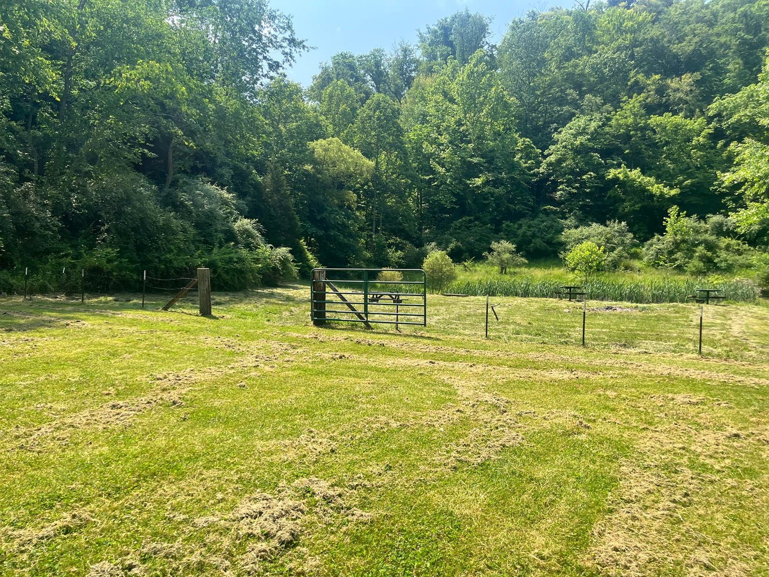 Image for SOLD $341,000 - 56 Acre Farm with 3 Bedroom Farmhouse & Barn in Milton