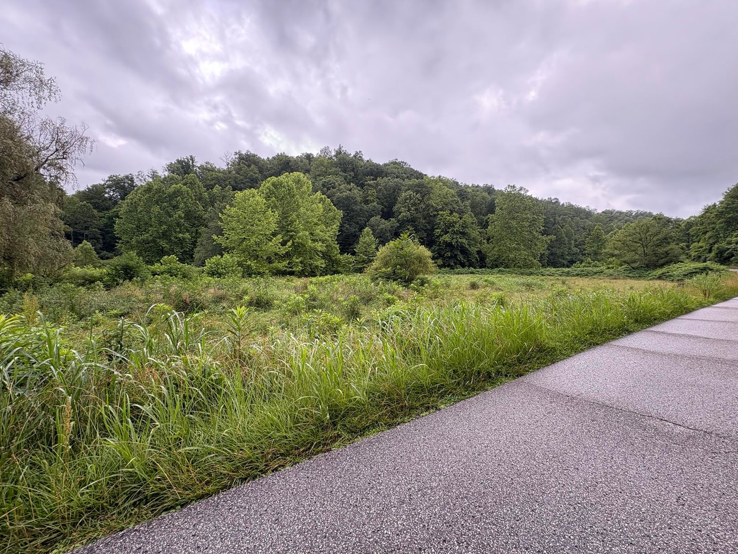 Image for SOLD $341,000 - 56 Acre Farm with 3 Bedroom Farmhouse & Barn in Milton