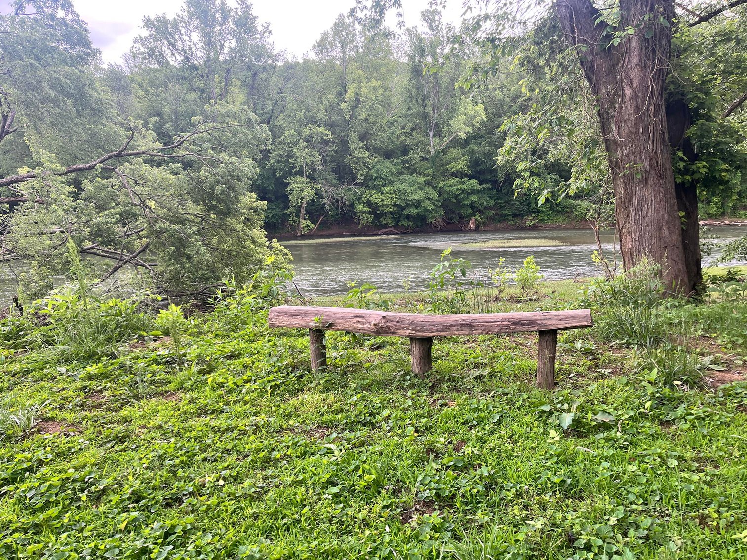 Image for SOLD $93,500 - 4 Bedroom with River Frontage in Charleston