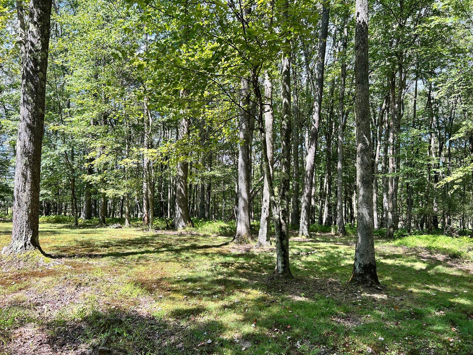Image for SOLD $363,000 - 3 Bedroom on Over 15 Acres in Timbers on The Youghiogheny