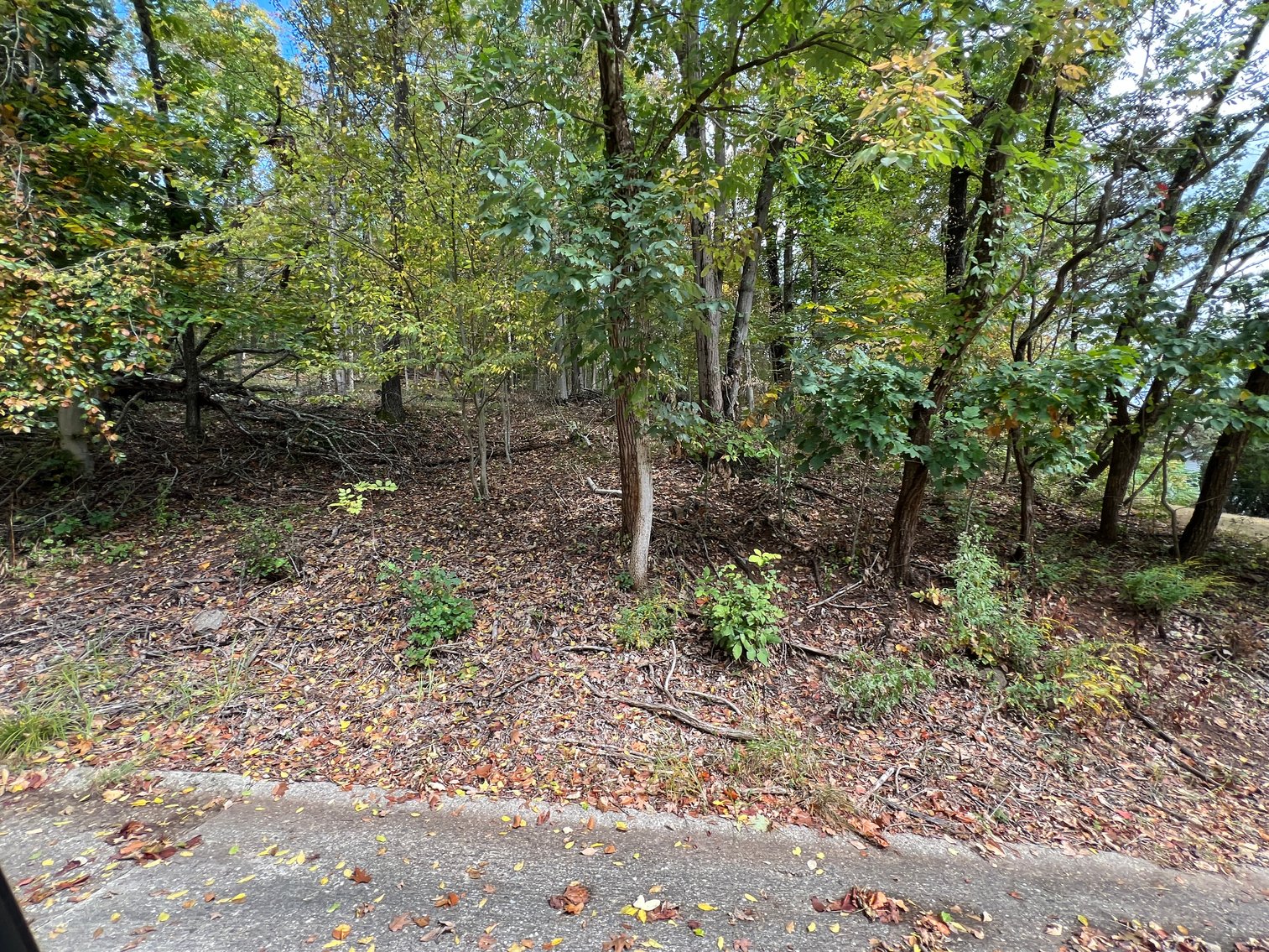 Image for SOLD - 9 Putnam County Properties Selling to the Highest Bidders