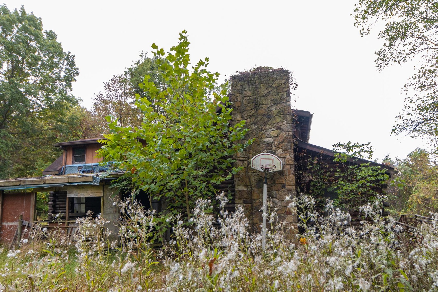Image for SOLD $173,250 - 2 Private Acres with Log Home Overlooking Cheat Lake