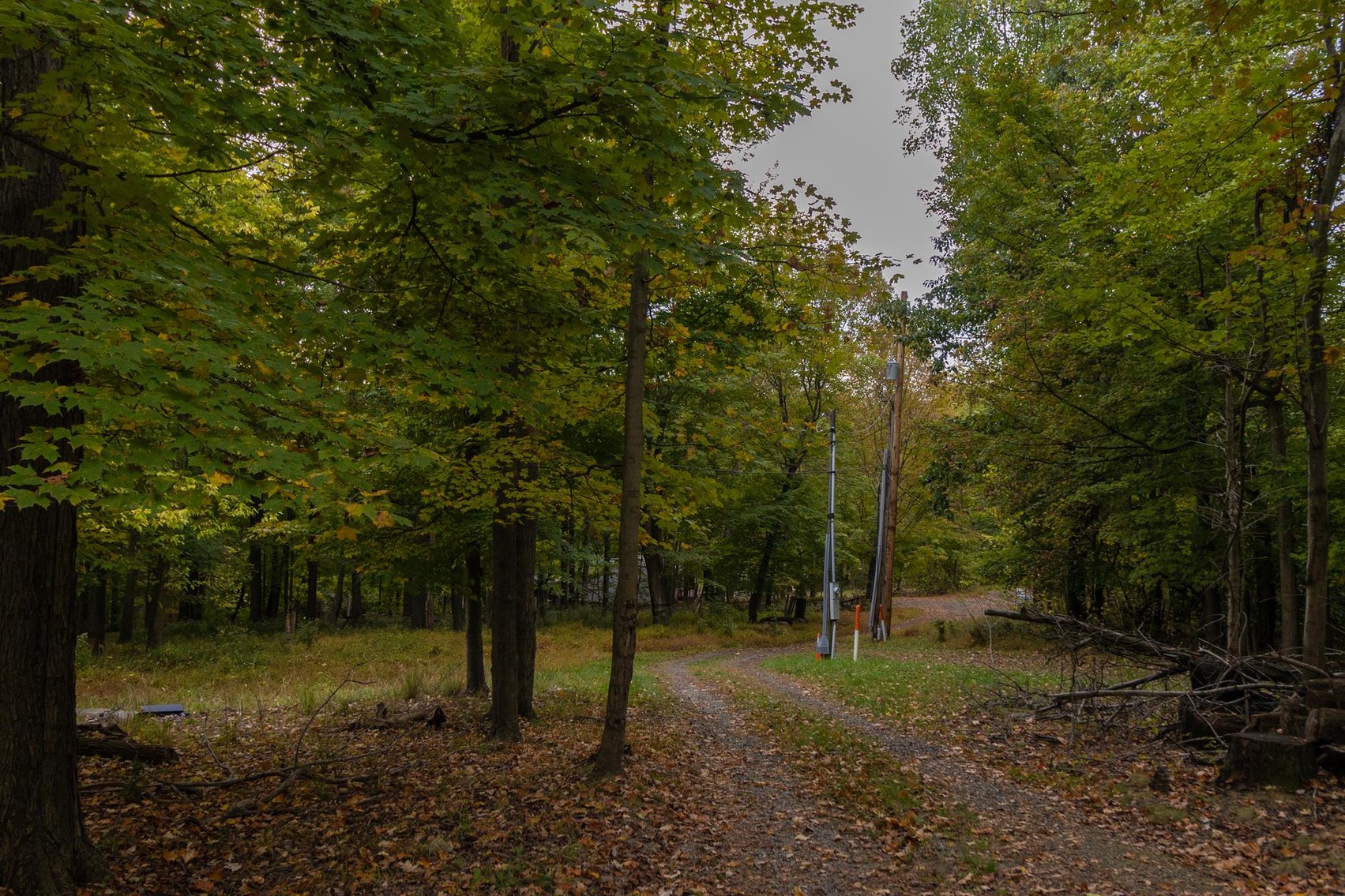 Image for SOLD $173,250 - 2 Private Acres with Log Home Overlooking Cheat Lake