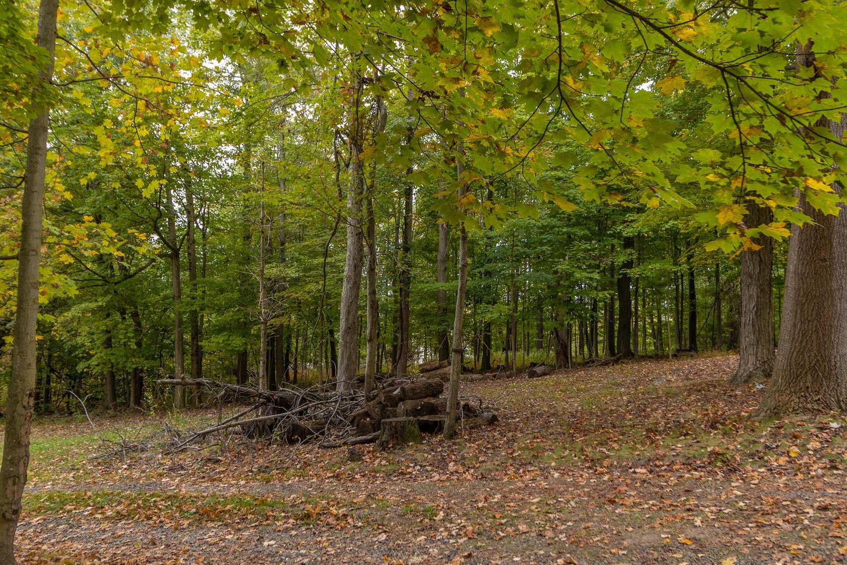 Image for SOLD $173,250 - 2 Private Acres with Log Home Overlooking Cheat Lake