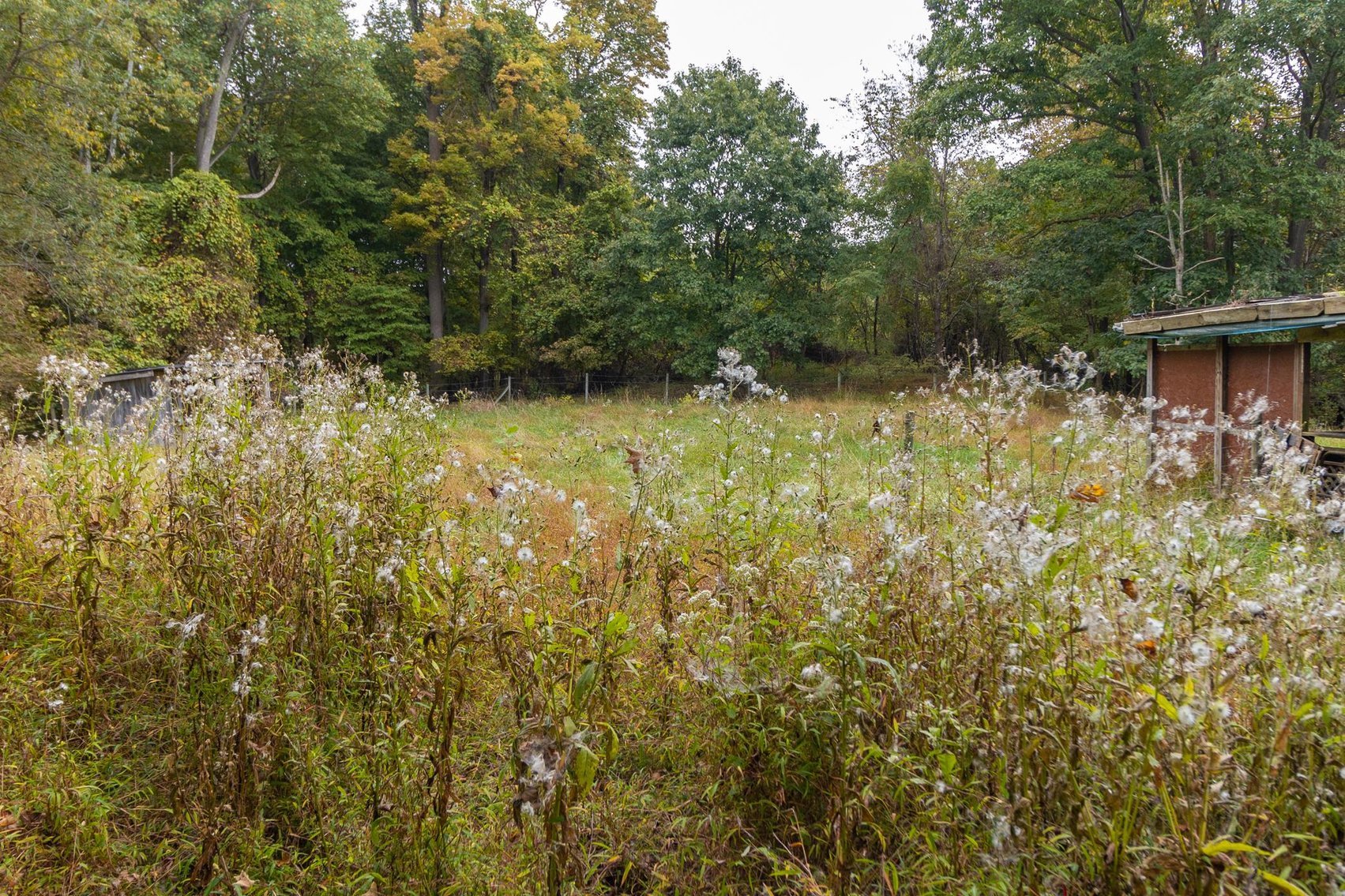 Image for SOLD $173,250 - 2 Private Acres with Log Home Overlooking Cheat Lake