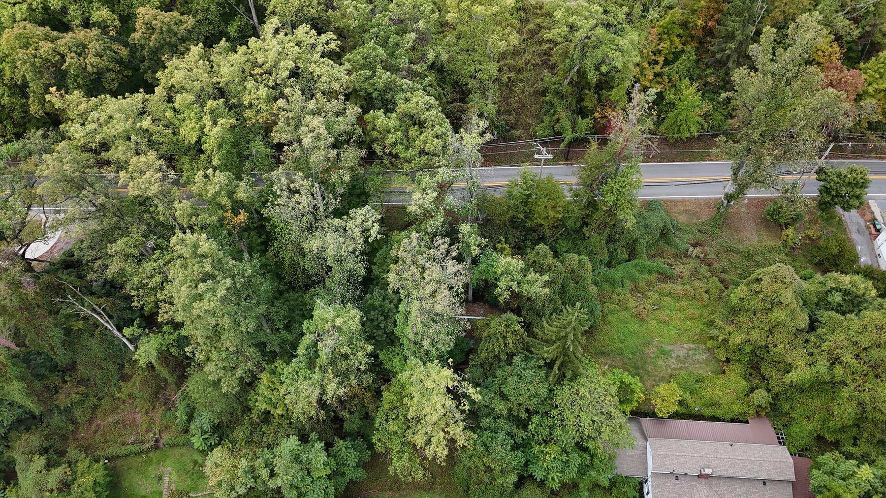 Image for 5 Morgantown Area Investment Properties