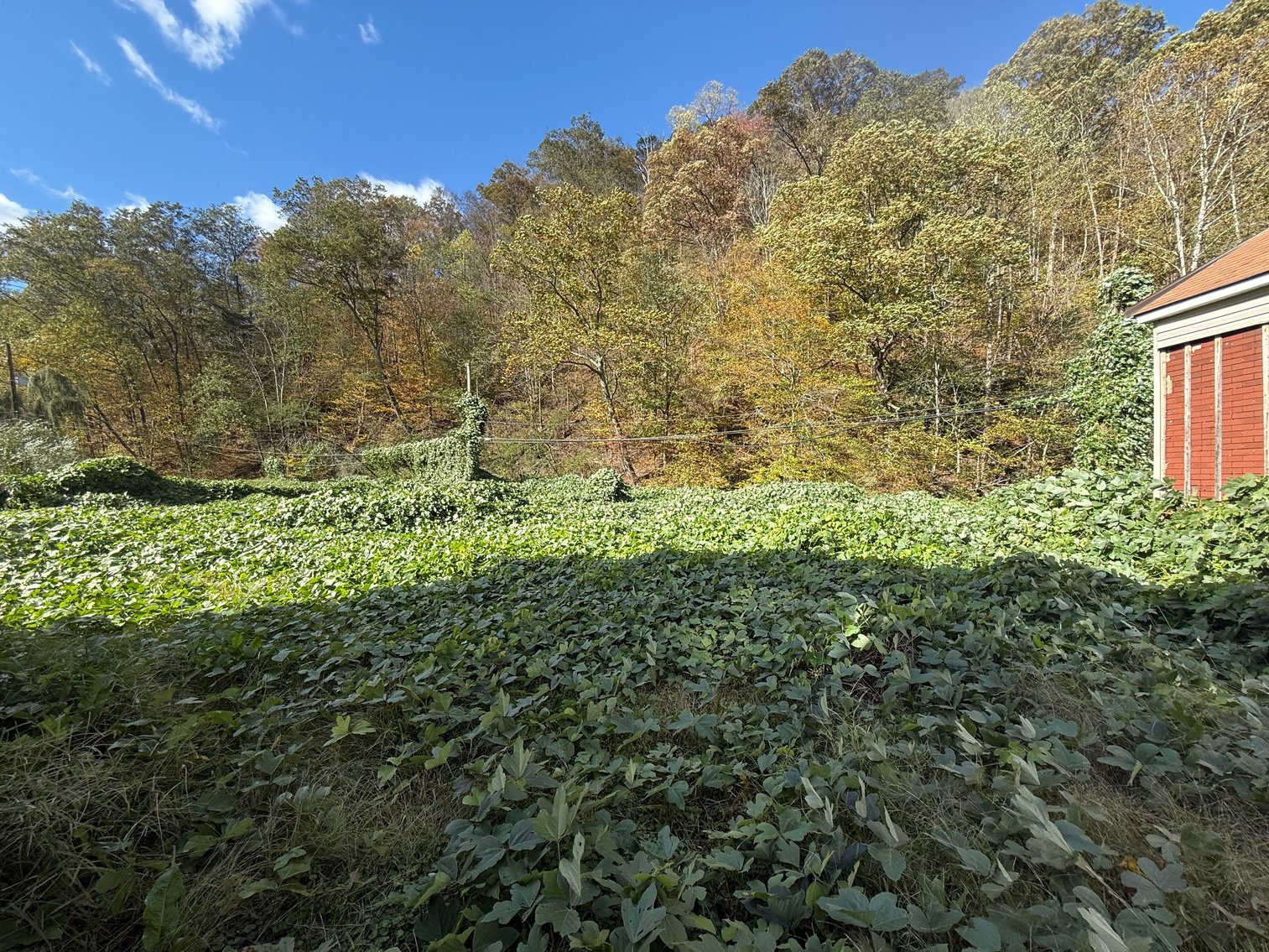 Image for SOLD - 2 Bedroom in Mingo County Selling to the Highest Bidder