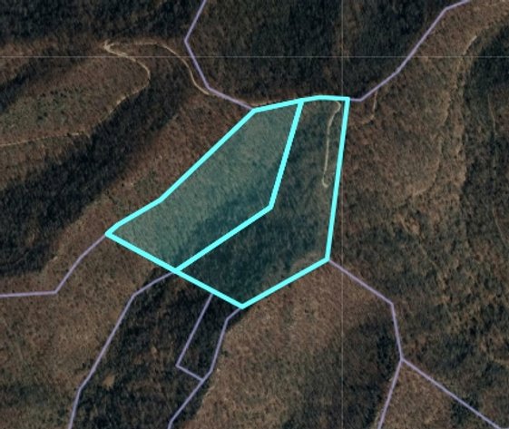 Image for SOLD $27,225 - Over 45 Acres in Mingo County Selling to the Highest Bidder