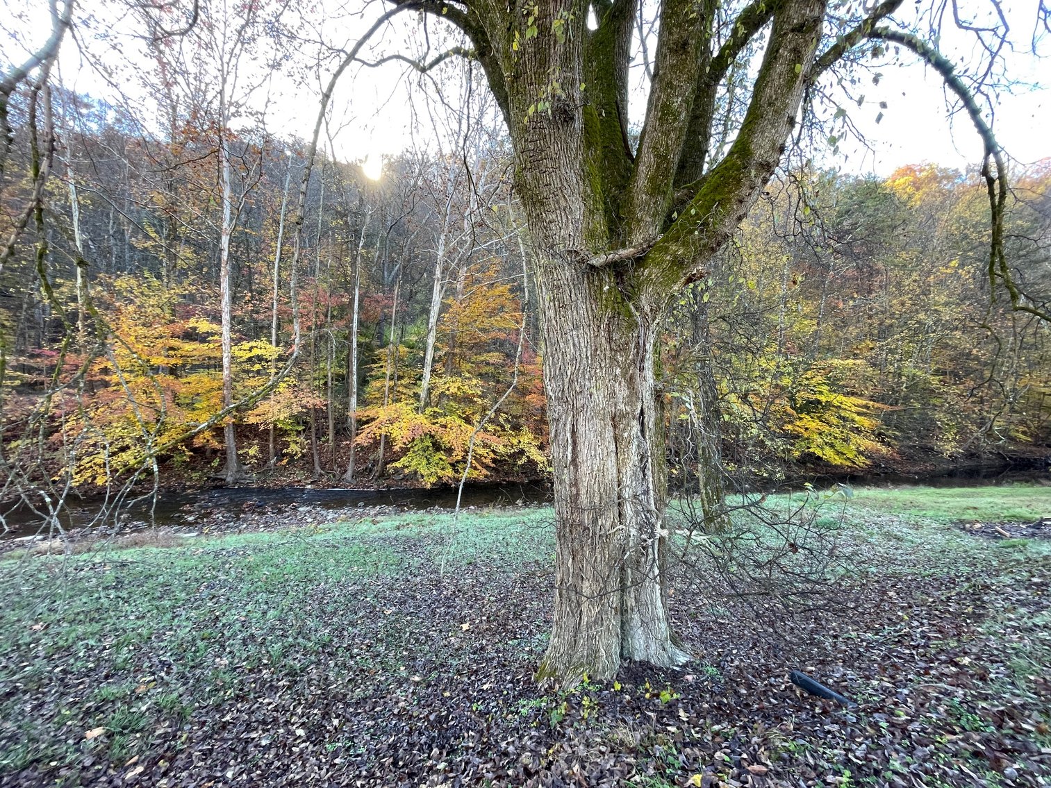 Image for SOLD $29,150 - 3 Bedroom with a Full Basement in Charleston Selling to the Highest Bidder