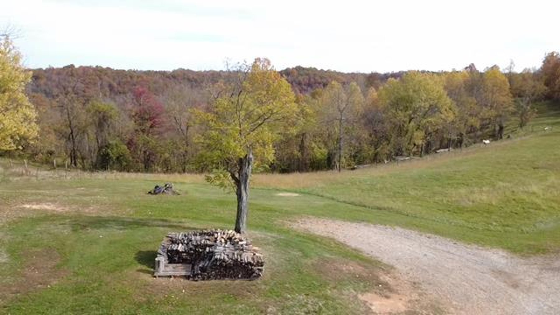 Image for SOLD $159,500 - 3 Bedroom Country Home on 58 Acres in Willow Wood, OH