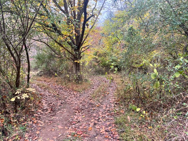 Image for SOLD $291,500 - 195 Acres with Timber & Minerals in Kanawha County