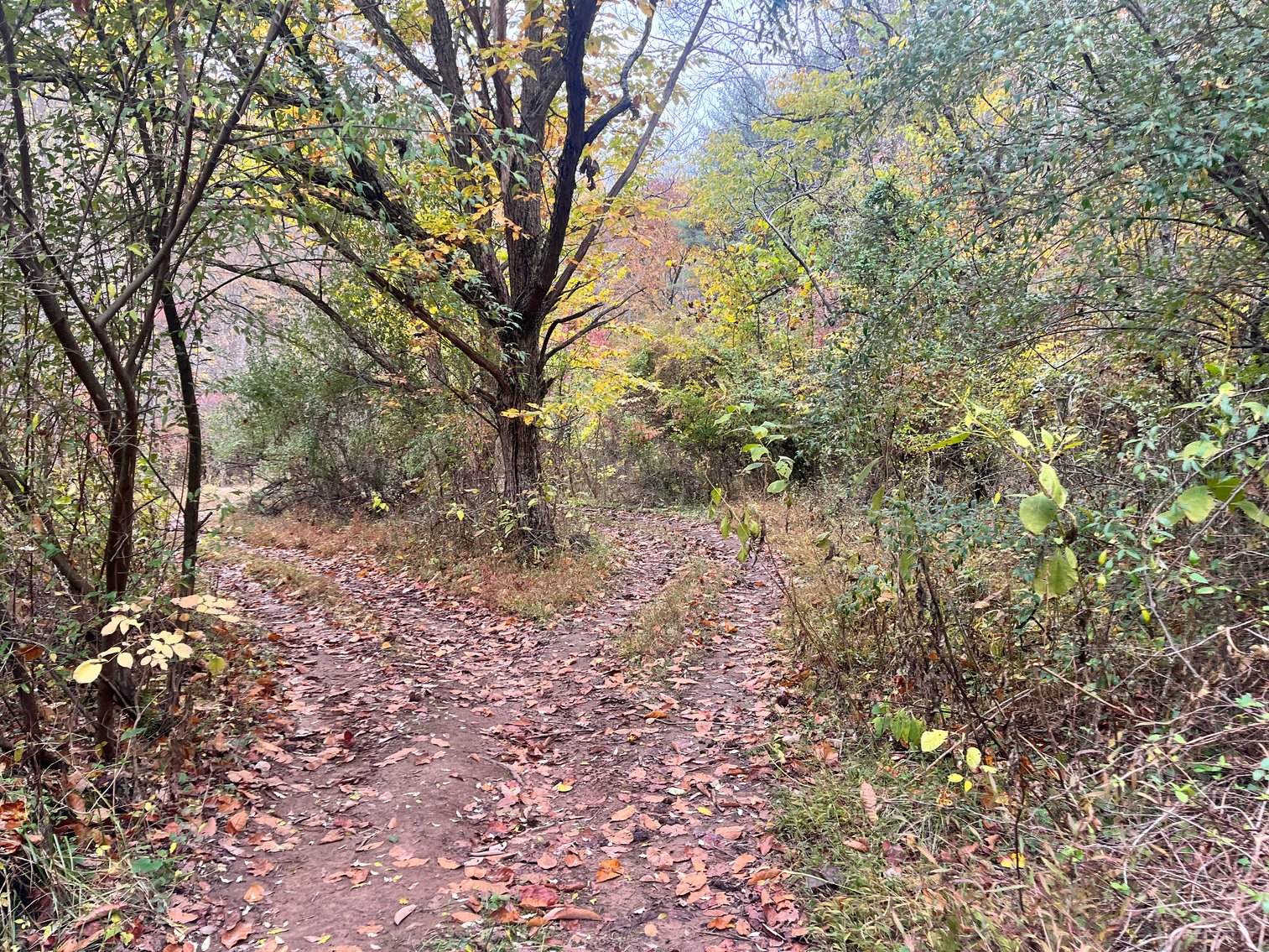 Image for SOLD $291,500 - 195 Acres with Timber & Minerals in Kanawha County