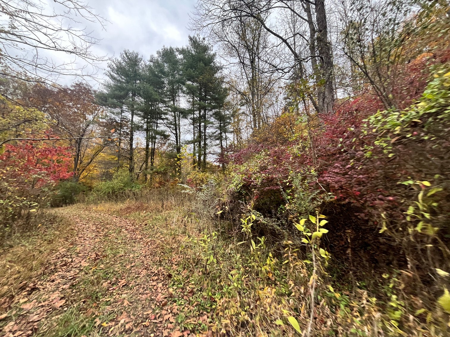 Image for SOLD $291,500 - 195 Acres with Timber & Minerals in Kanawha County