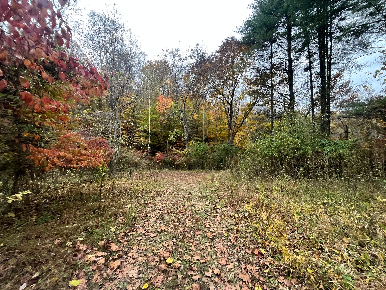 Image for SOLD $291,500 - 195 Acres with Timber & Minerals in Kanawha County