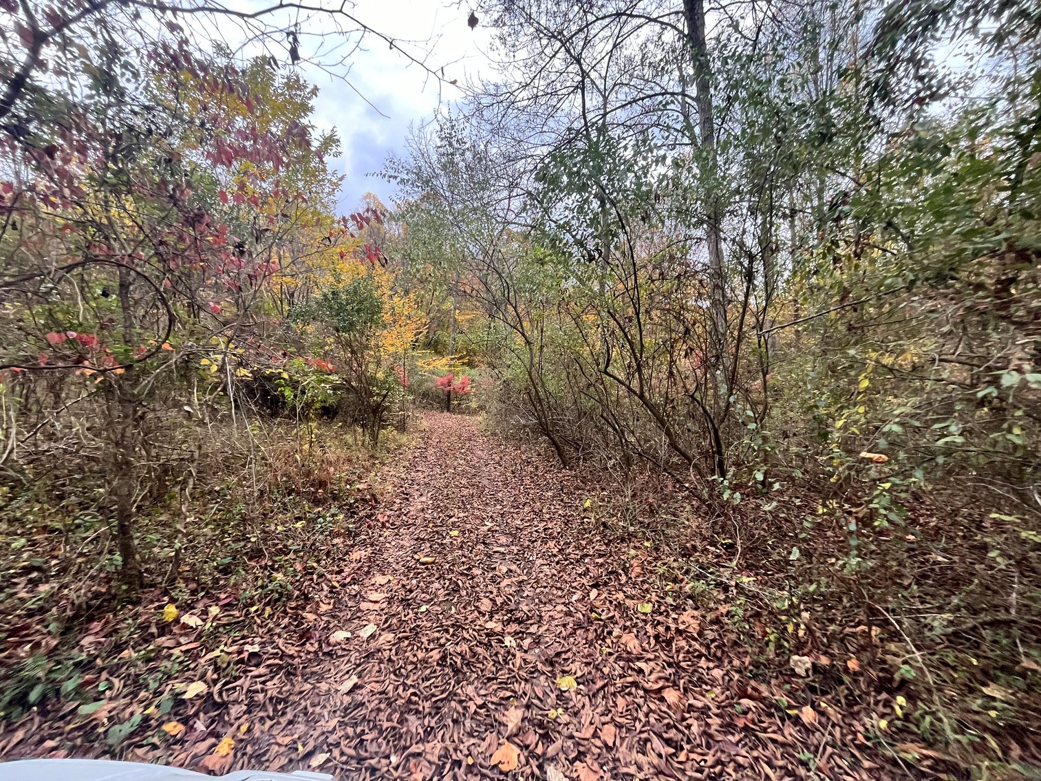 Image for SOLD $291,500 - 195 Acres with Timber & Minerals in Kanawha County