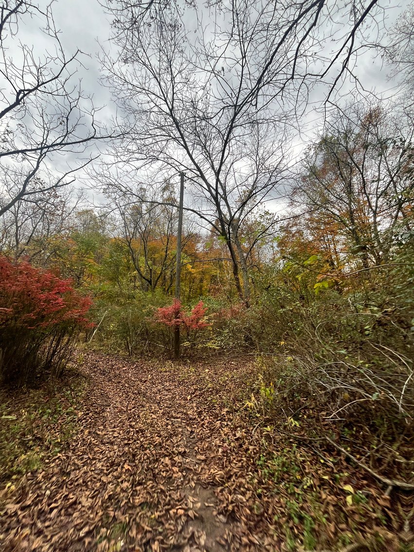 Image for SOLD $291,500 - 195 Acres with Timber & Minerals in Kanawha County
