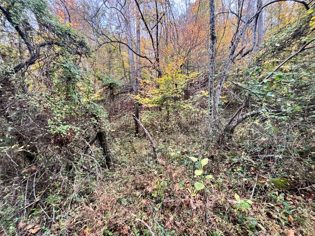 Image for SOLD $291,500 - 195 Acres with Timber & Minerals in Kanawha County