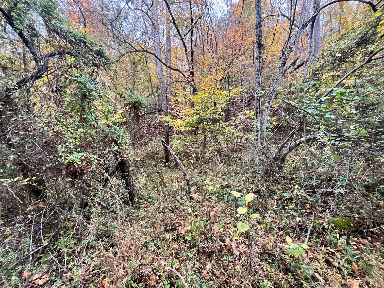 Image for SOLD $291,500 - 195 Acres with Timber & Minerals in Kanawha County