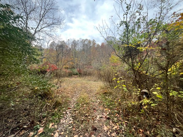 Image for SOLD $291,500 - 195 Acres with Timber & Minerals in Kanawha County