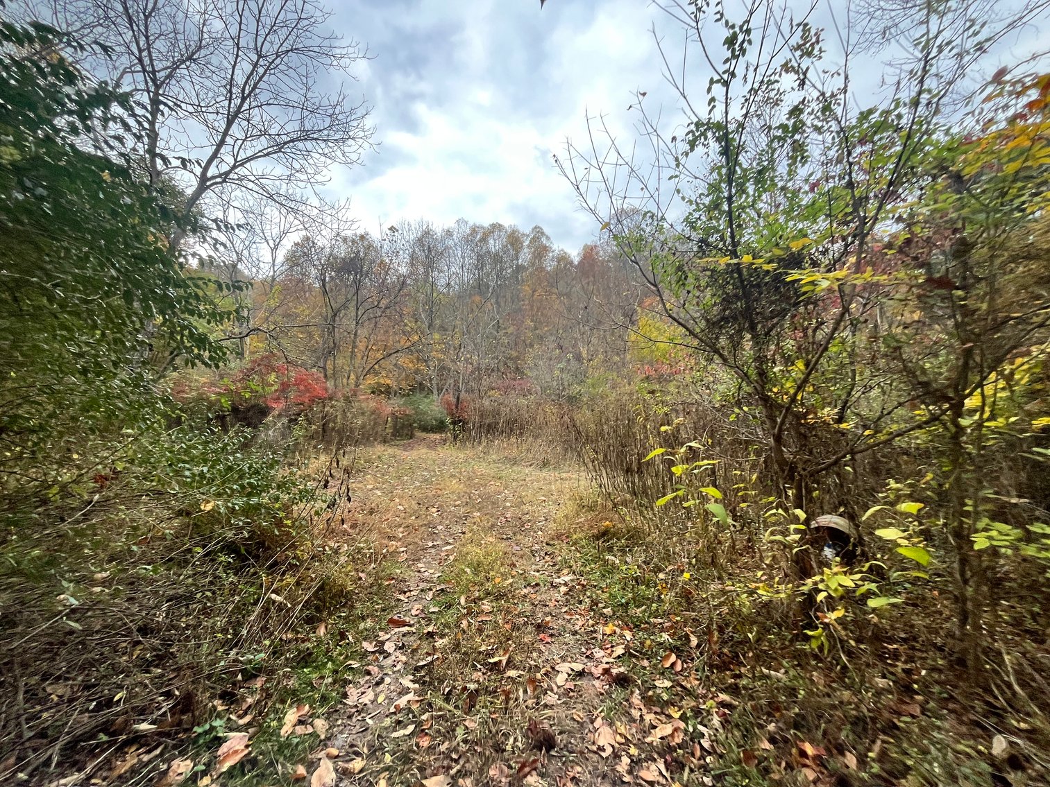Image for SOLD $291,500 - 195 Acres with Timber & Minerals in Kanawha County