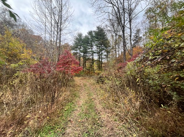 Image for SOLD $291,500 - 195 Acres with Timber & Minerals in Kanawha County