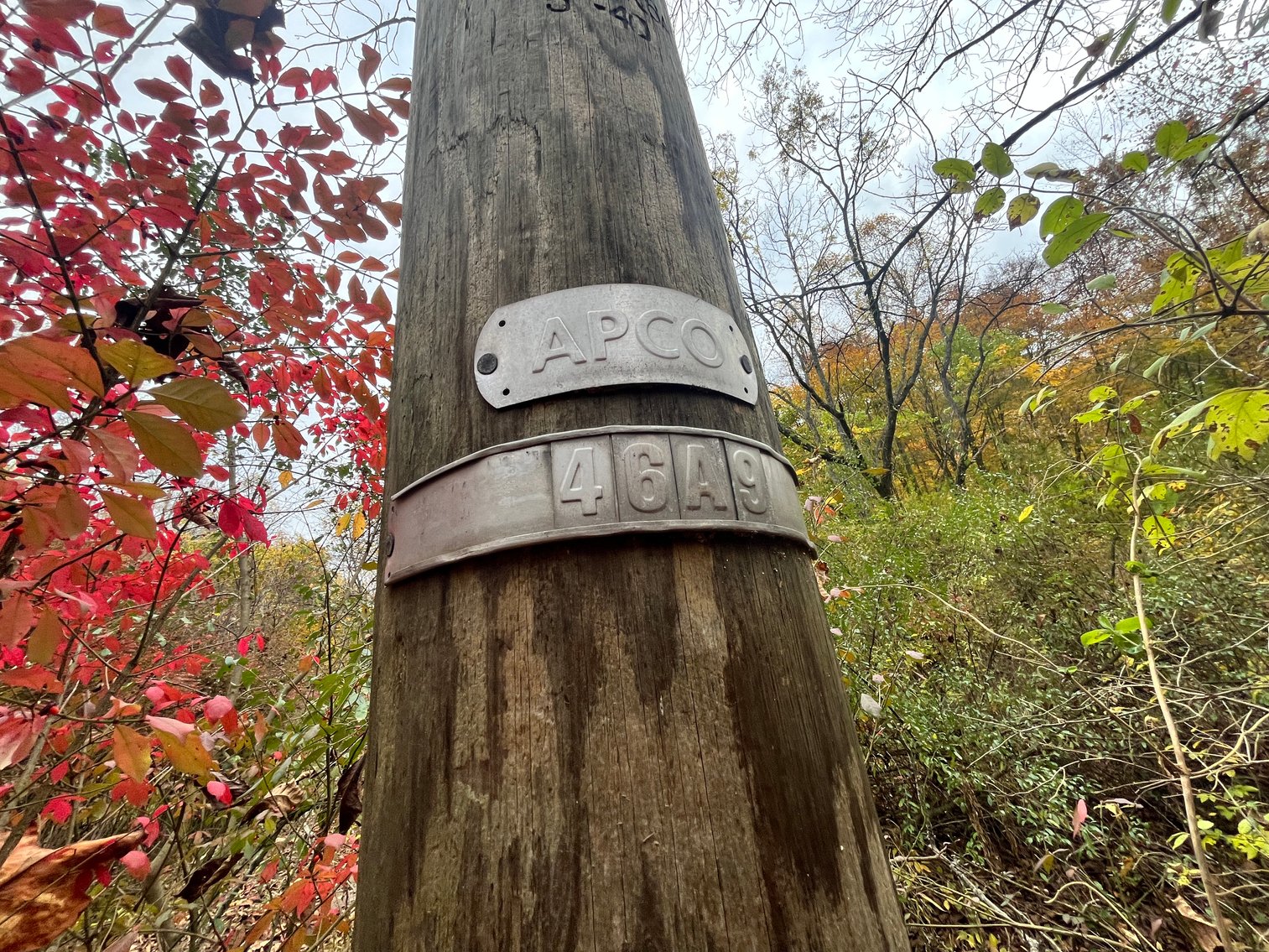 Image for SOLD $291,500 - 195 Acres with Timber & Minerals in Kanawha County